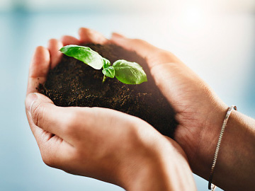 Transactional Account